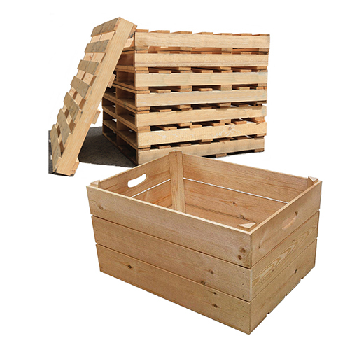 Hard Wooden Pallet - Color: Brown