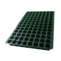 Chilli Seedling Trays - Color: Green