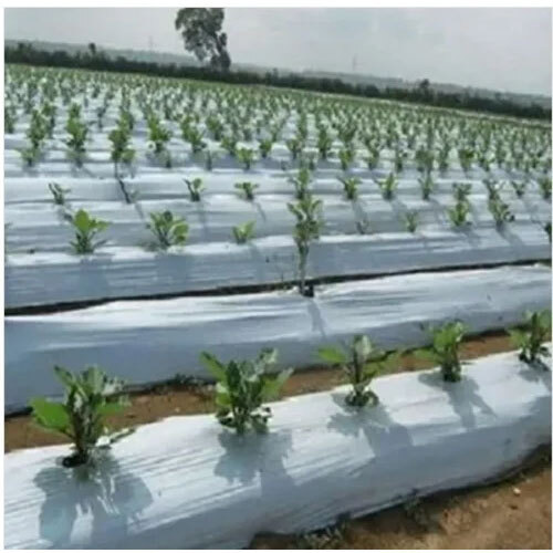 LDPE 5 Layer Mulching Sheet