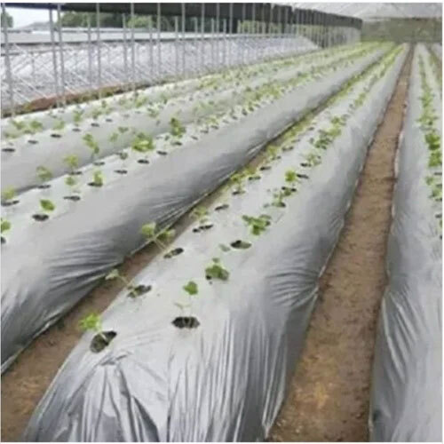 Silver 5 Layer Mulching Sheet
