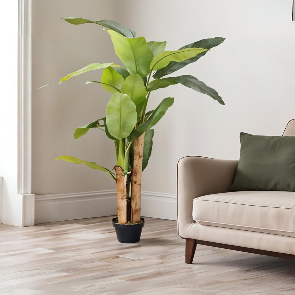 Royaloak Banana Tree - Cat-24 - Color: Green
