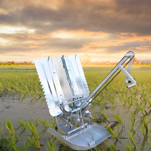 2 Row Rice Transplanter -Manual Walking Type