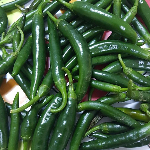 Green Chilli - Moisture (%): 99%