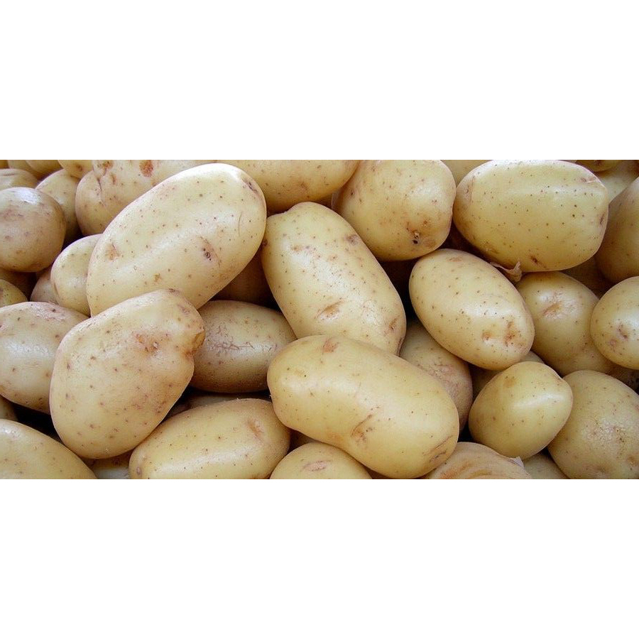 Fresh Potato - Moisture (%): 99%