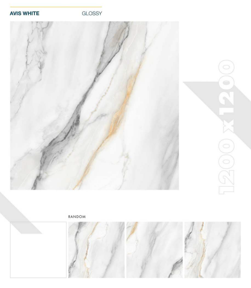 1200 X 1200mm Slab Tiles