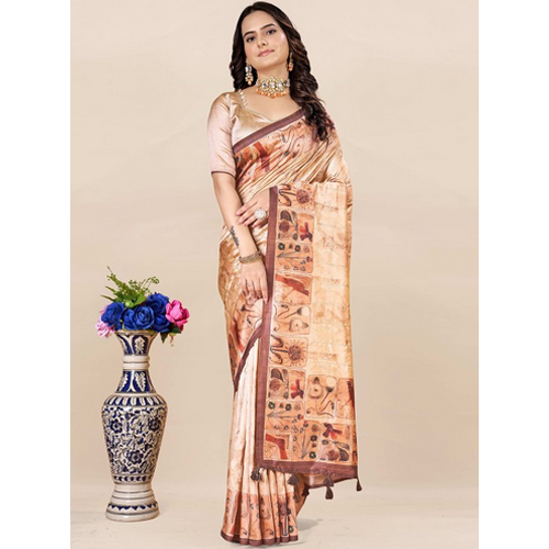 Abstract Printed Embroidered Detail Saree