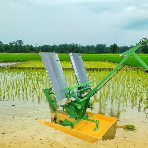 2 Row Rice Transplanter -Manual Walking Type (Wooden model)