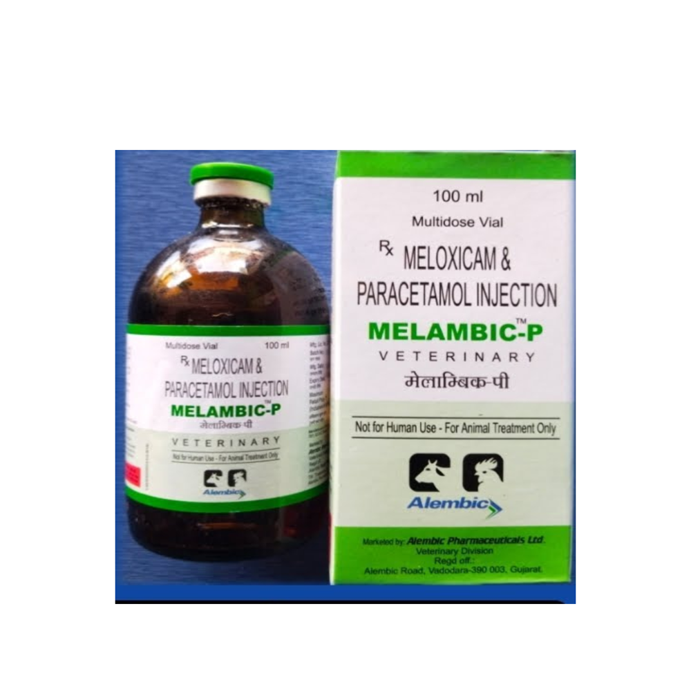 Melambic-P Maloxicam & Paracetamol Tablet - Packaging Type: Box