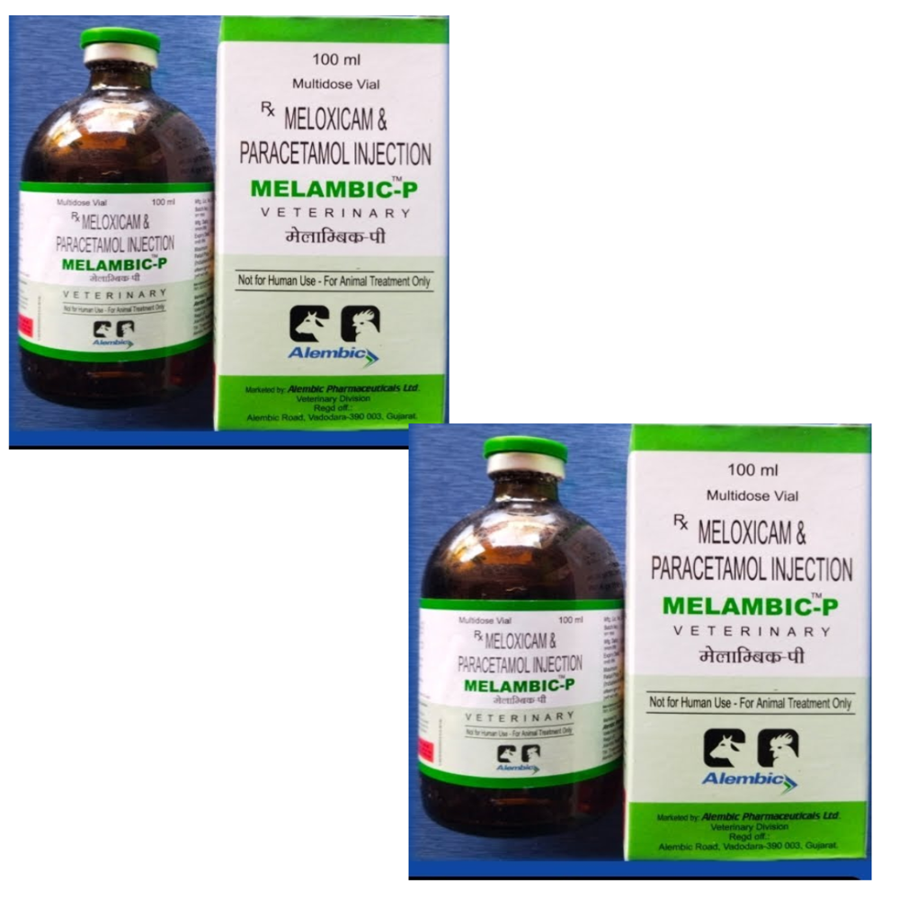 Melambic-p Maloxicam & Paracetamol  Tablet 