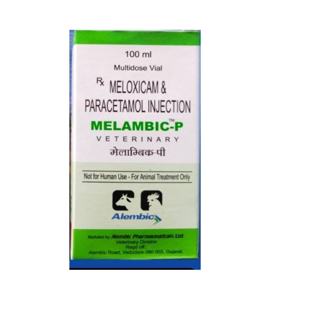 Melambic-p Maloxicam & Paracetamol  Tablet 