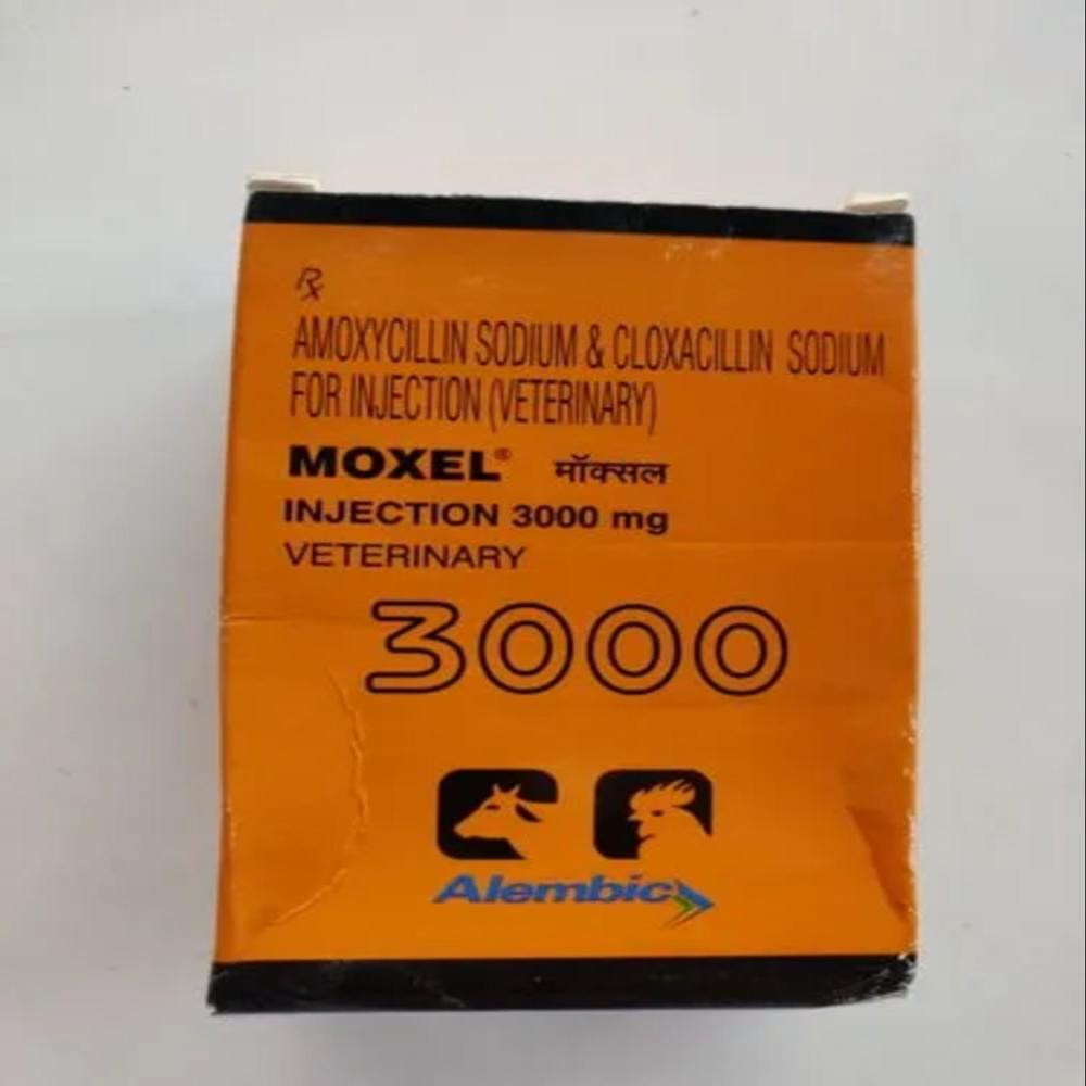 Moxel Amoxycillin & Cloxacillin Injections 3000 Mg