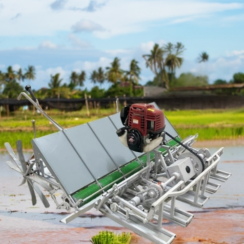 6 Row Rice Transpalnter Engine Operated-Walking Behind