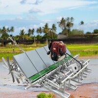 Vgt 6 Row Rice Transpalnter Engine Operated-walking Behind - Color: Silver