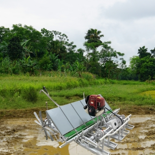 Vgt 6 Row Rice Transpalnter Engine Operated-walking Behind - Color: Silver