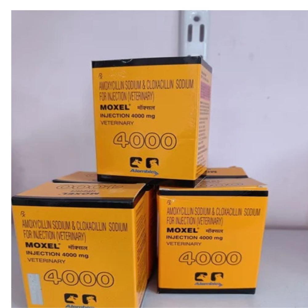 Moxel  Amoxycillin & Cloxacillin Injection 4000mg 