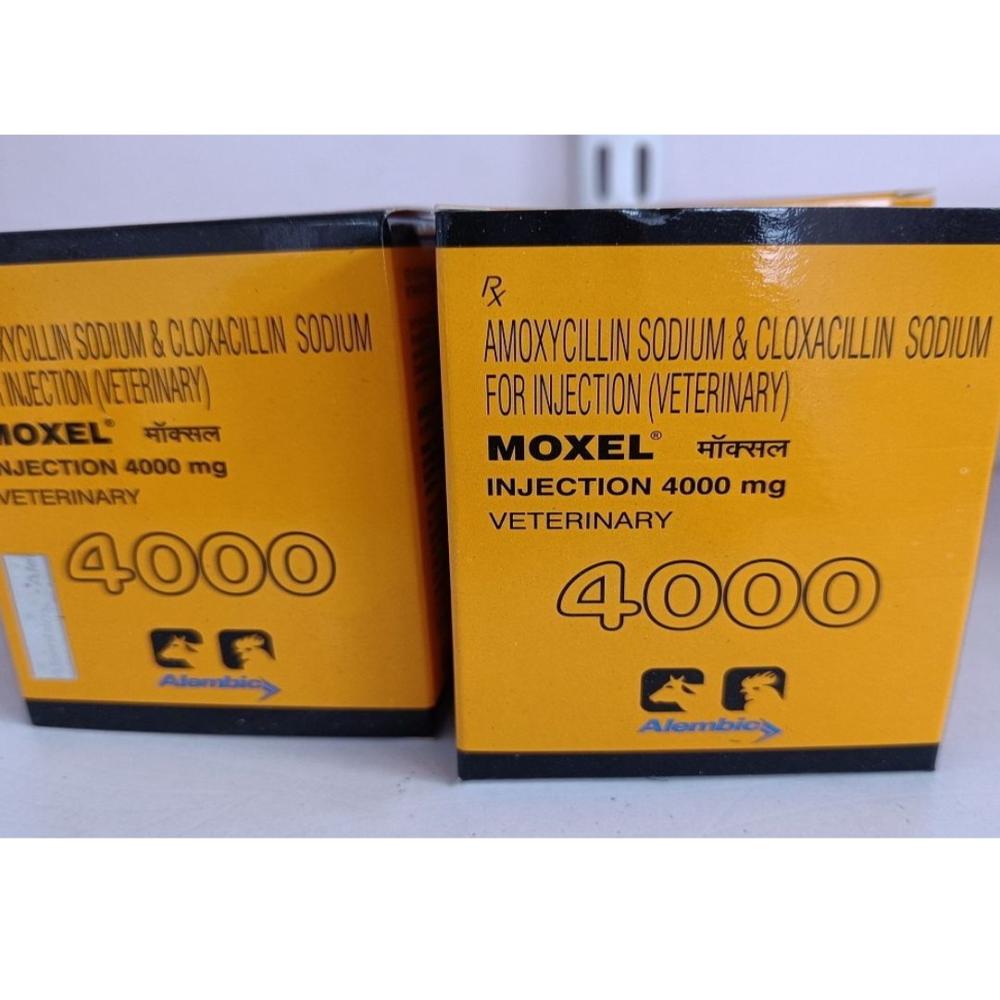 Moxel  Amoxycillin & Cloxacillin Injection 4000mg 