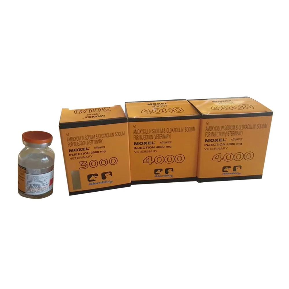Moxel  Amoxycillin & Cloxacillin Injection 4000mg 