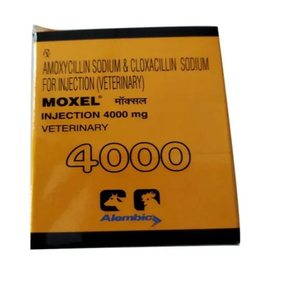 Moxel  Amoxycillin & Cloxacillin Injection 4000mg 