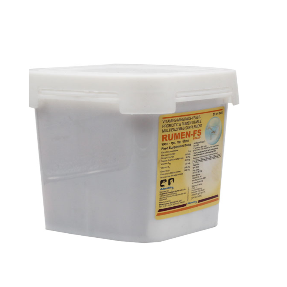 Rumen  FS  Bolus 4's