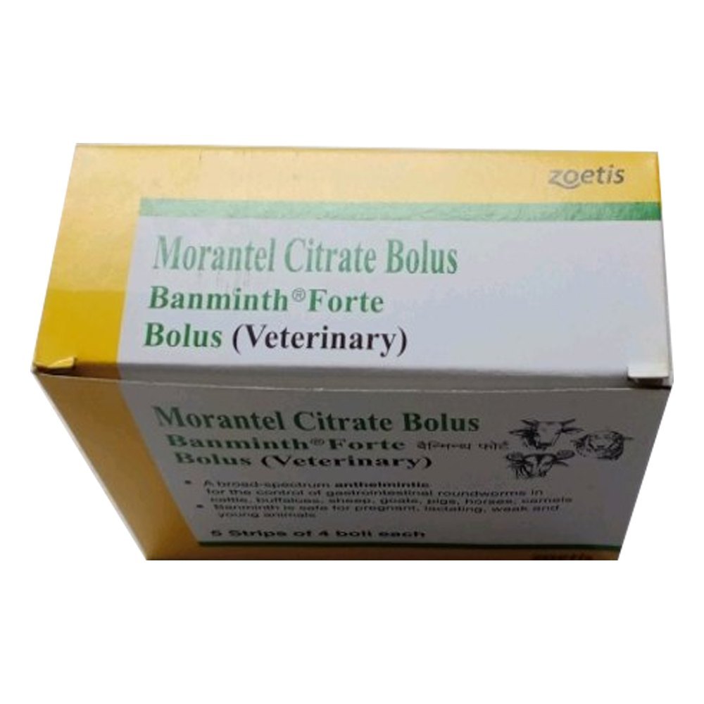 Banminth  Forte Morantel  Citrate  Bolus 