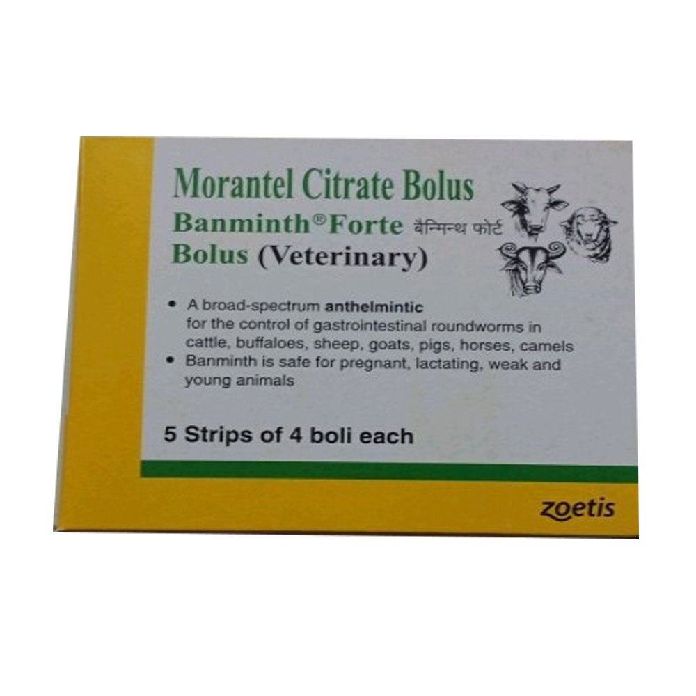 Banminth  Forte Morantel  Citrate  Bolus 