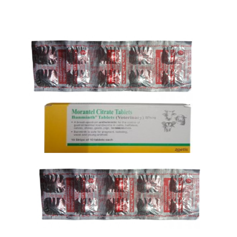 Banminth Morantel citrate Tablet  10s