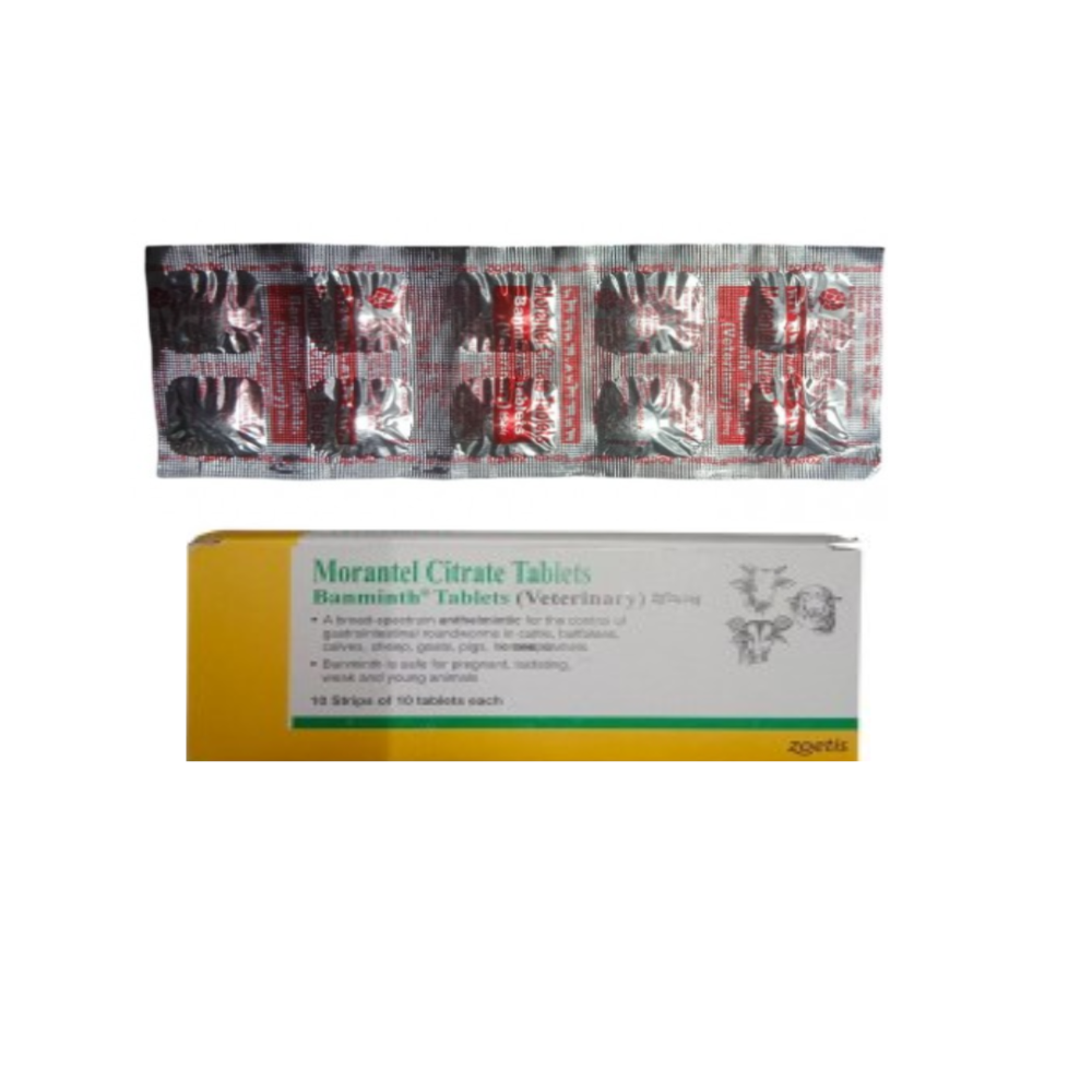 Banminth Morantel citrate Tablet  10s  