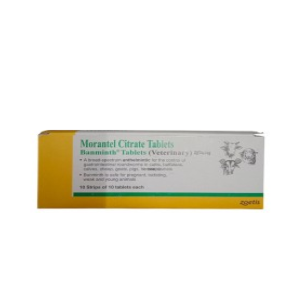 Banminth Morantel citrate Tablet  10s  