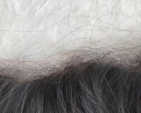 Black Natural Color HD Lace 13x6 Wavy Frontal Human Hair Vendor, Hair Grade: 10A, Packaging Size: 10