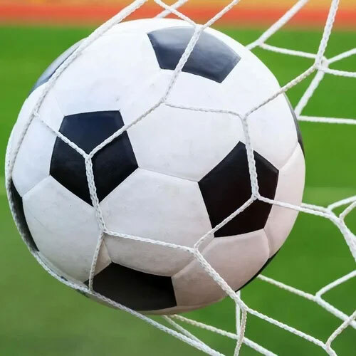 All Sports Net