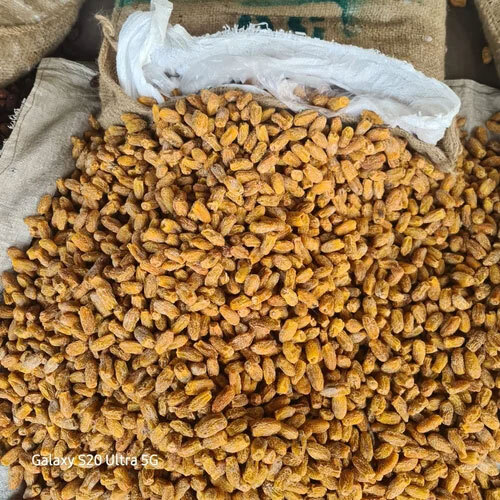 Dry Dates Chuara Kharak