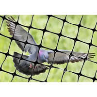 Bird Protection Netting - Color: Black