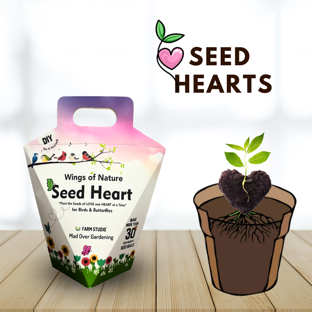 Seed Ball Kit - Seed Heart Diy Kit - Color: Various Available