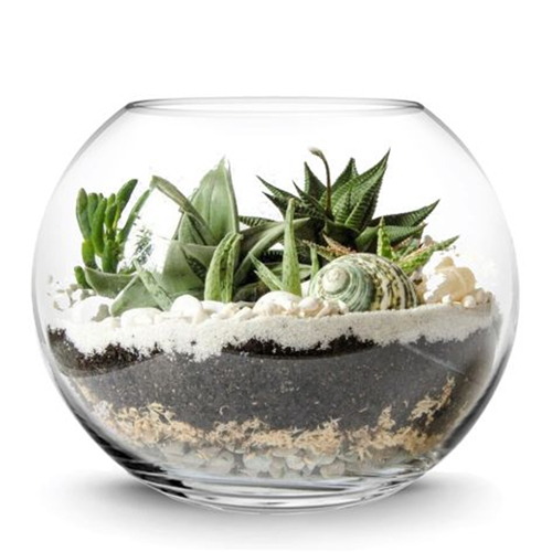 6 Inch Glass Fish Bowl - Color: Various Available