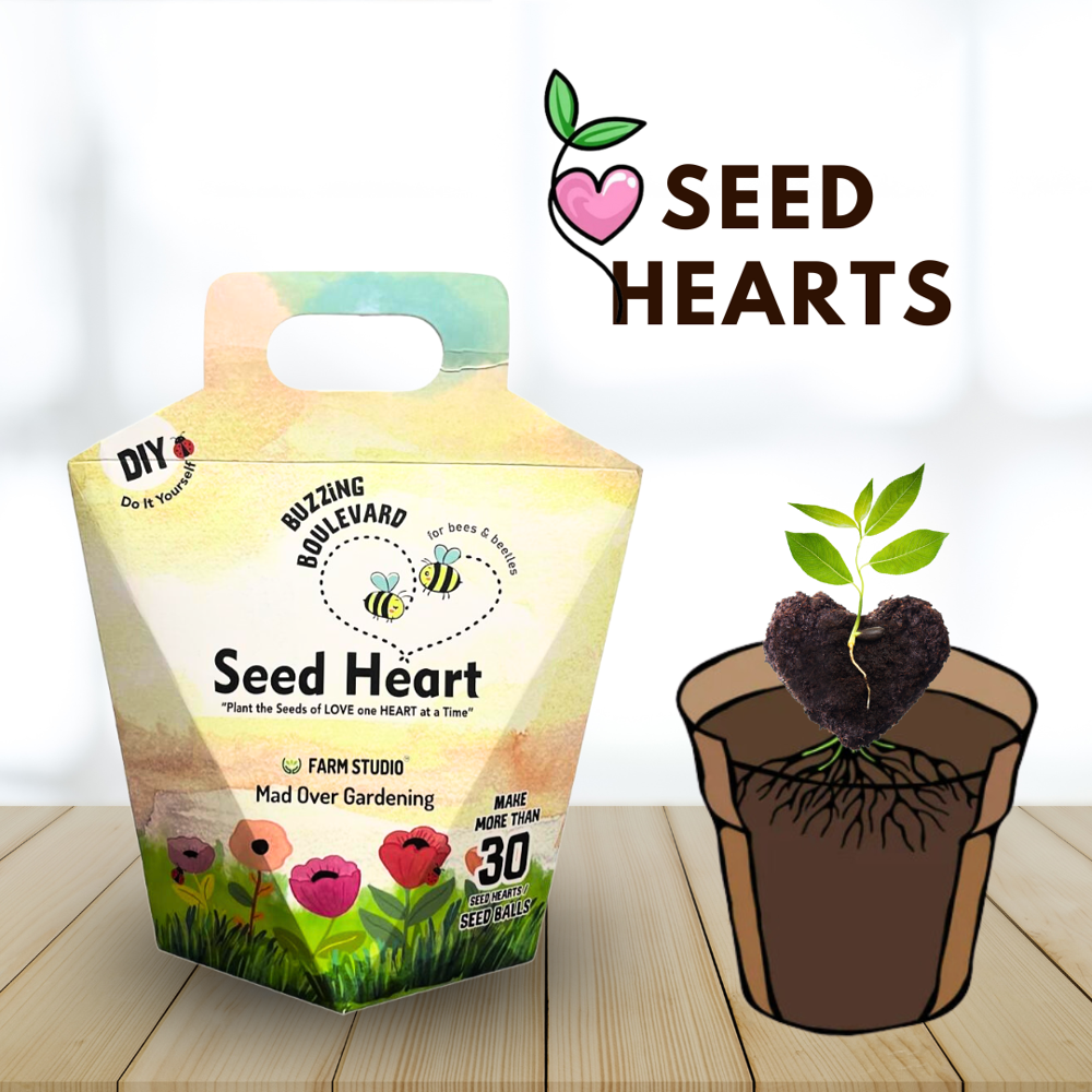 Seed Ball Kit - Seed Heart Diy Kit - Color: Various Available