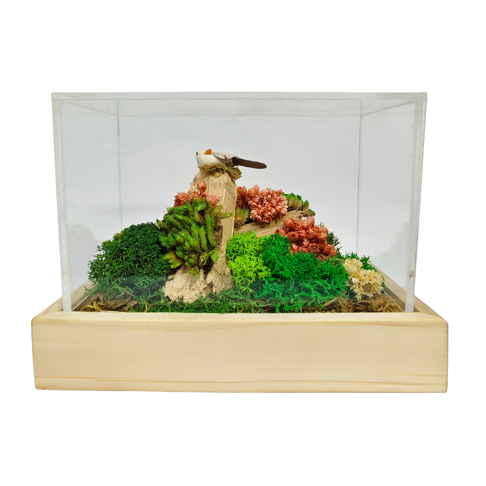 Forest Garden Terrarium - Color: Various Available