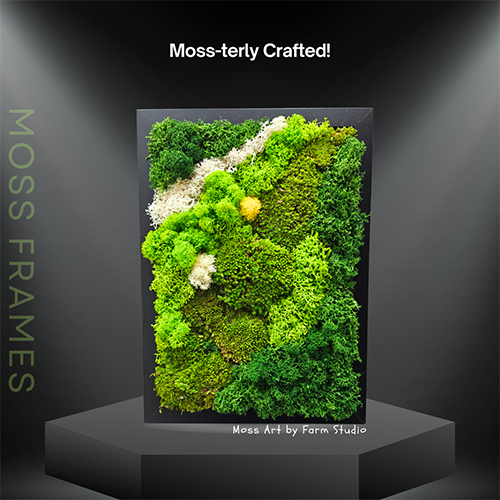 4X6 Inch Moss Wall Art Frame - Color: Various Available