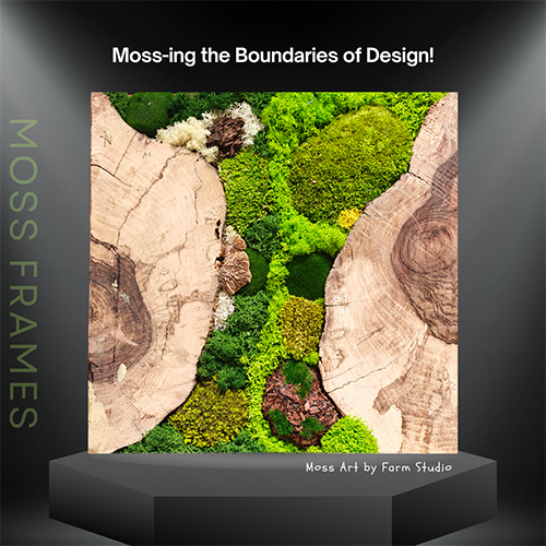 8X8 Inch Moss Wall Art Frame - Color: Various Available