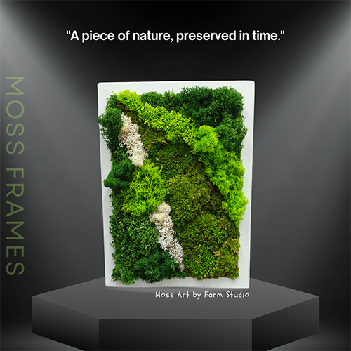8X6 Inch Moss Wall Art Frame - Color: Various Available