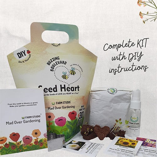 Seed Heart Kit - Color: Brown