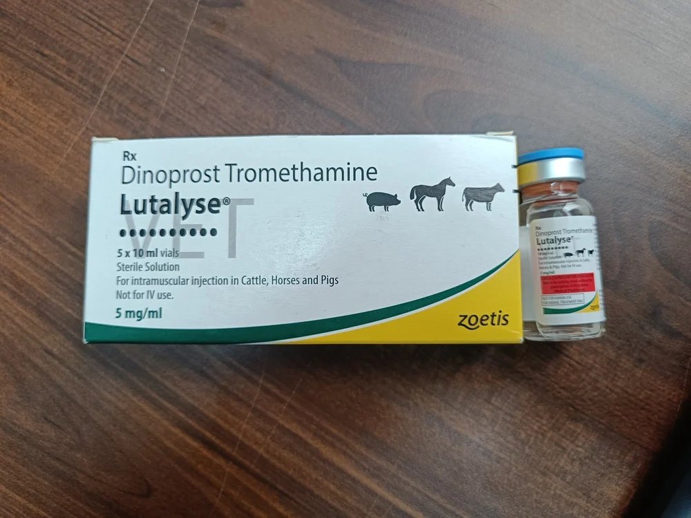 Lutalyse  Dinoprost Tromethamine Injection 10 ml