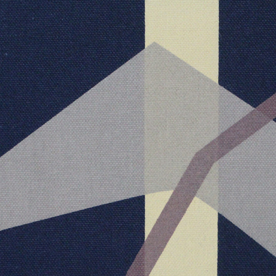 Organic Cotton Canvas Fabrics