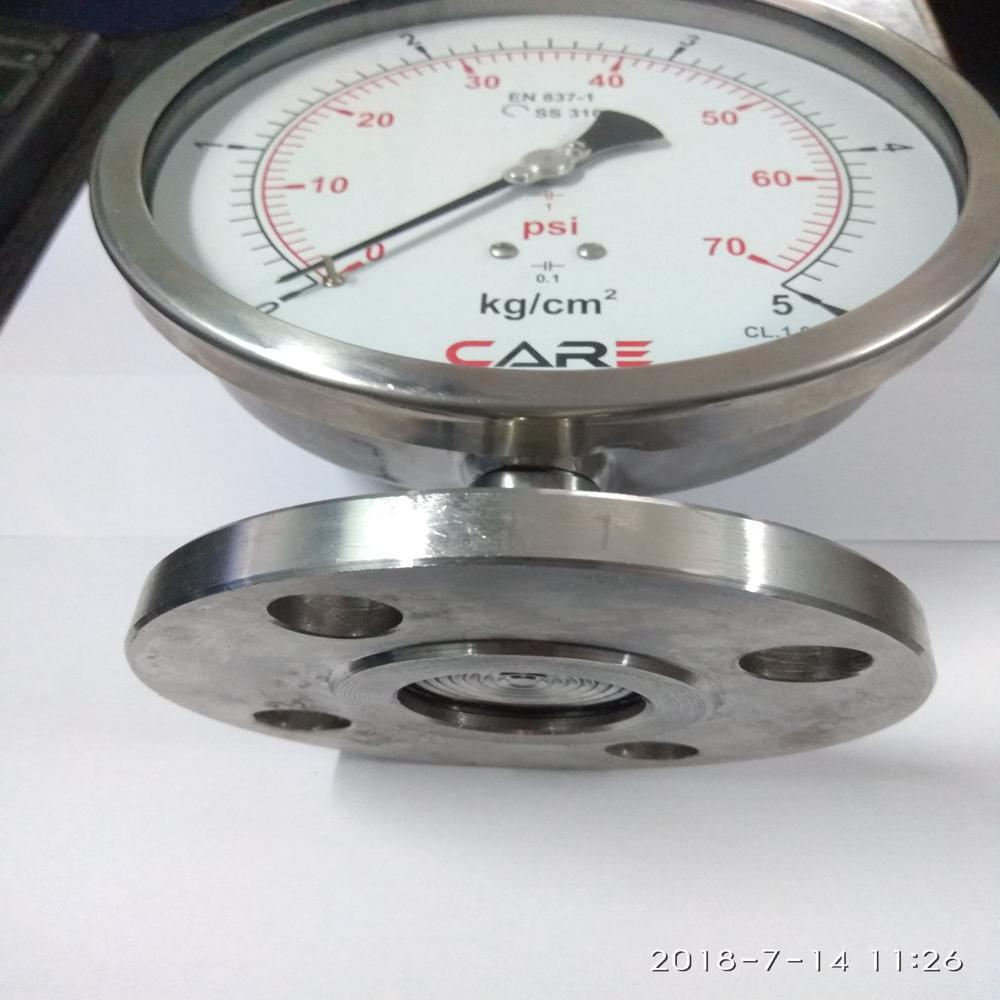 Chemical Sealed Pressure Gauge