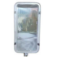 85w Cfl Street Lights - Ip Rating: Ip33