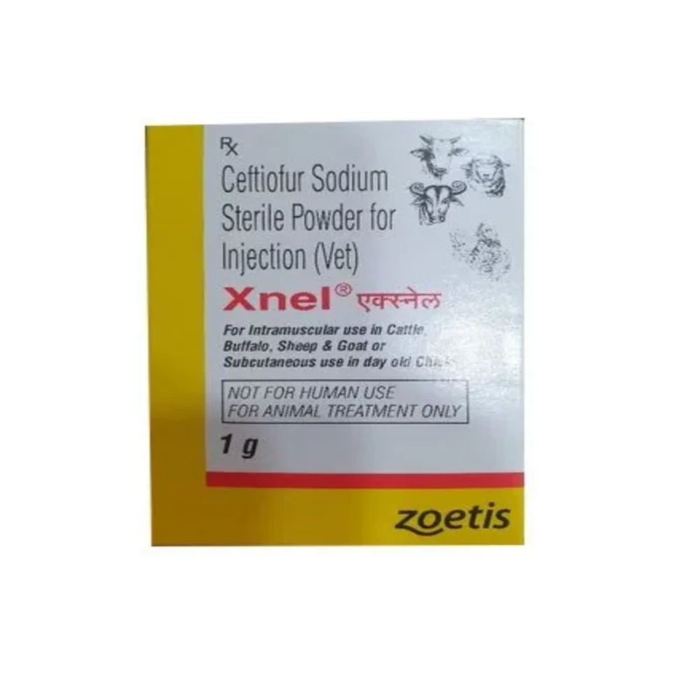 X Nel Ceftiofur Sodium Injection 1g