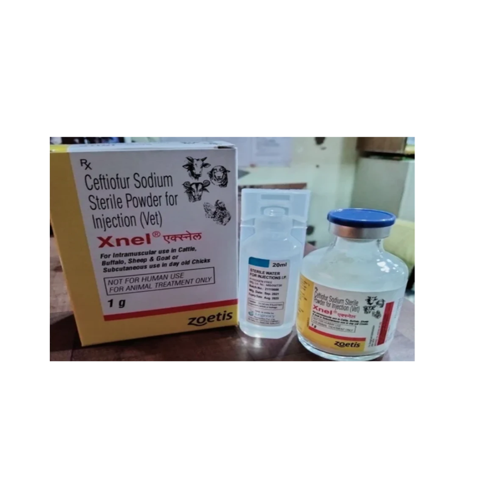 X Nel Ceftiofur Sodium Injection 1g