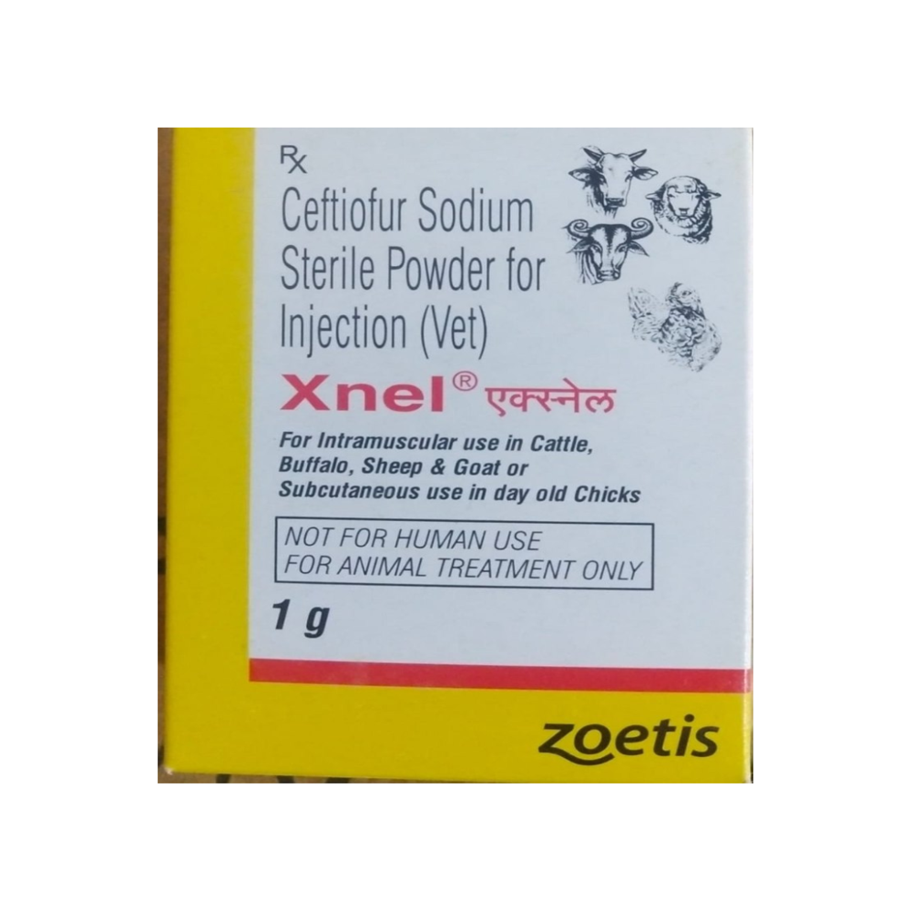 X Nel Ceftiofur Sodium Injection 1g