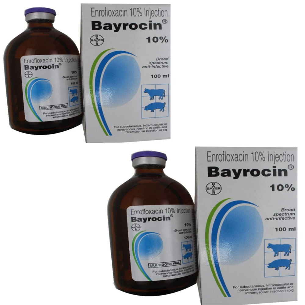 Bayrocin Enrofloxacin 10% Injection - Packaging Type: Box