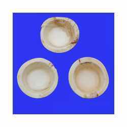 Round Shape Areca Leaf Plates