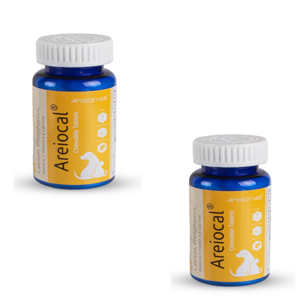 AreioCal  Calcium Supplement for Bones 30's Tablet 